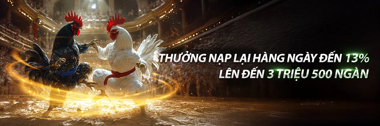 Hình ảnh chính blog game momo, thể hiện sự sôi động của cá cược trực tuyến